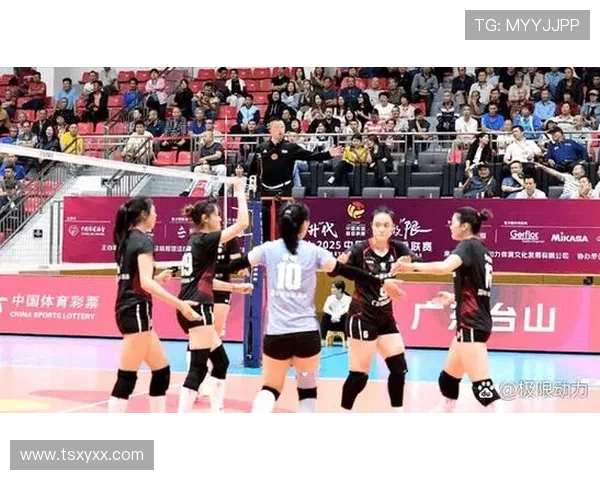 武汉排球队引领最新排球战术十大趋势解析与发展前景展望