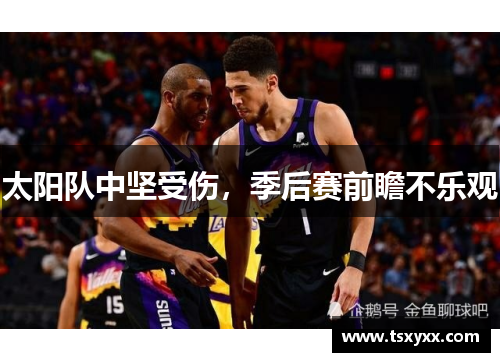 太阳队中坚受伤，季后赛前瞻不乐观