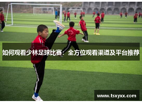 如何观看少林足球比赛：全方位观看渠道及平台推荐
