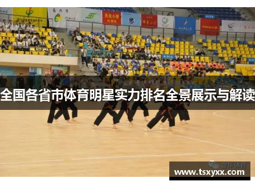 全国各省市体育明星实力排名全景展示与解读
