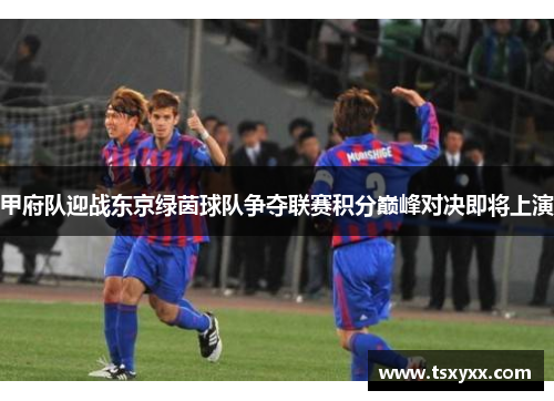 甲府队迎战东京绿茵球队争夺联赛积分巅峰对决即将上演